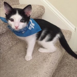 Meet your Posher, Laura